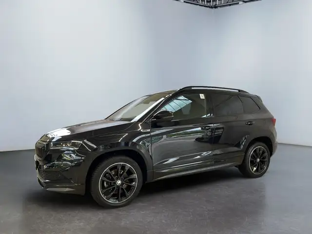 Skoda Karoq view 2