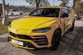 Lamborghini Urus 4.0 V8 Aut. Amarillo - thumbnail 2