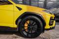 Lamborghini Urus 4.0 V8 Aut. Amarillo - thumbnail 7