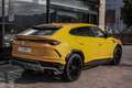 Lamborghini Urus 4.0 V8 Aut. Amarillo - thumbnail 8