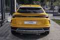 Lamborghini Urus 4.0 V8 Aut. Amarillo - thumbnail 9