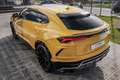 Lamborghini Urus 4.0 V8 Aut. Amarillo - thumbnail 10