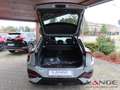 Kia EV6 GTL 84 AWD WP ASS+ SD D Navi Klimaautom SHZ Fernli Grau - thumbnail 5