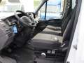 Iveco Daily 35 C 17 3000 170CV EURO 5 RIBALTABILE TRILATERALE Wit - thumbnail 13
