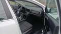Kia Sportage 1.6 MHEV Black Edition 100kW (136CV) 4x2 Weiß - thumbnail 4
