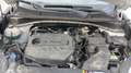 Kia Sportage 1.6 MHEV Black Edition 100kW (136CV) 4x2 Weiß - thumbnail 11