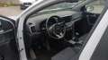 Kia Sportage 1.6 MHEV Black Edition 100kW (136CV) 4x2 Weiß - thumbnail 2
