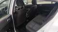 Kia Sportage 1.6 MHEV Black Edition 100kW (136CV) 4x2 Weiß - thumbnail 10