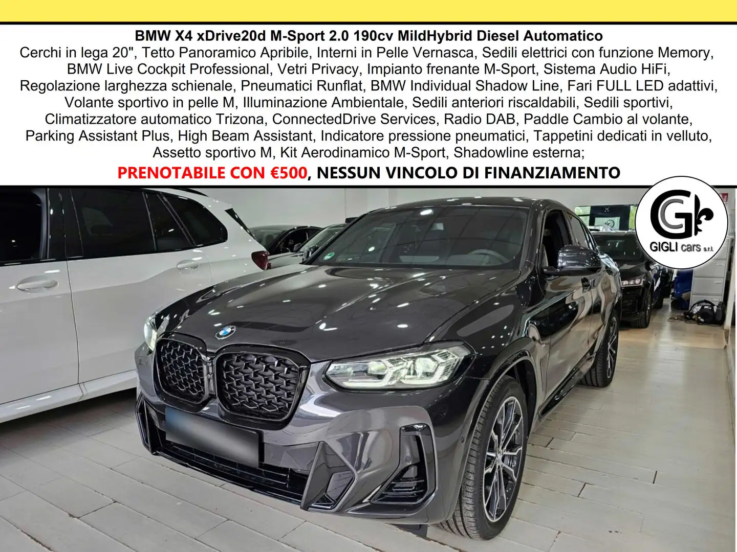 BMW X4 XDrive20d M-Sport C20" TETTO Navi CAM LED Clima3Z Grigio - 1