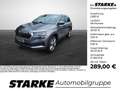 Skoda Karoq 1.5 TSI DSG Selection Grau - thumbnail 1