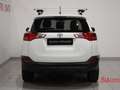 Toyota RAV 4 RAV4 2.0 D-4D 2WD Style White Ed. Weiß - thumbnail 5