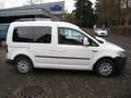 Volkswagen Caddy 1,4 TGI CNG BI-Xenon Heckflügel 5-Sitzer Weiß - thumbnail 8