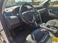 Land Rover Discovery Sport 2.0 td4 SE awd 150cv Wit - thumbnail 14