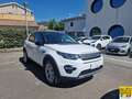 Land Rover Discovery Sport 2.0 td4 SE awd 150cv Wit - thumbnail 3