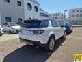 Land Rover Discovery Sport 2.0 td4 SE awd 150cv Wit - thumbnail 9
