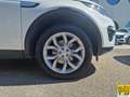 Land Rover Discovery Sport 2.0 td4 SE awd 150cv Wit - thumbnail 7