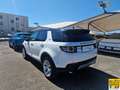 Land Rover Discovery Sport 2.0 td4 SE awd 150cv Wit - thumbnail 4