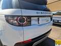 Land Rover Discovery Sport 2.0 td4 SE awd 150cv Wit - thumbnail 6