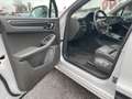 Porsche Macan Macan 2.0 265cv GESSO-TETTO-PASM-MATRIX-21 Gris - thumbnail 12