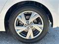 Toyota Yaris ACTIVE PLUS - thumbnail 18
