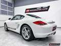 Porsche Cayman S, PDK, Chrono, gepflegt! Weiß - thumbnail 8