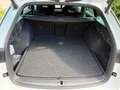 Skoda Octavia Combi RS iV DSG / Navi / ACC / AHK Blanco - thumbnail 26