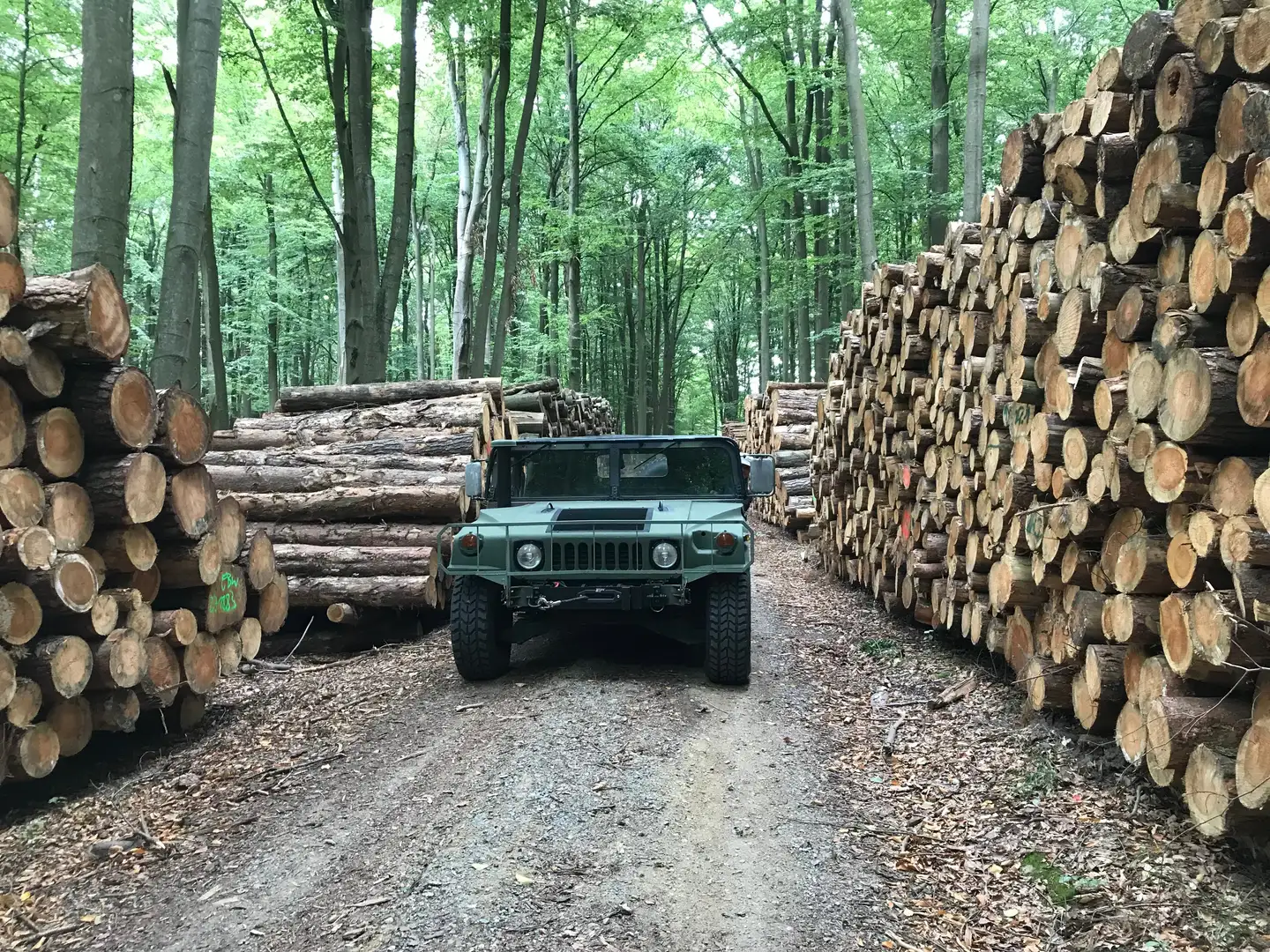 HUMMER H1 Зелений - 1