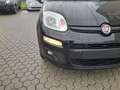 Fiat Panda Panda 1.2 Lounge 69cv Nero - thumbnail 13