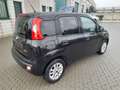 Fiat Panda Panda 1.2 Lounge 69cv Nero - thumbnail 3