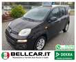 Fiat Panda Panda 1.2 Lounge 69cv Nero - thumbnail 1