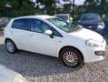Fiat Punto Evo Punto III 2009 Evo 5p 1.3 mjt Dynamic s "VEDI DESCRIZIONE" Weiß - thumbnail 2