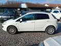Fiat Punto Evo Punto III 2009 Evo 5p 1.3 mjt Dynamic s "VEDI DESCRIZIONE" Weiß - thumbnail 4