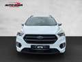 Ford Kuga ST-Line Sportpaket Bluetooth Navi Klima Weiß - thumbnail 18
