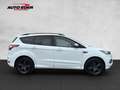 Ford Kuga ST-Line Bluetooth Navi Klima Einparkhilfe Bianco - thumbnail 14