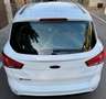 Ford B-Max B-MAX 1.6 Aut. SYNC Edition Weiß - thumbnail 3