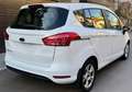 Ford B-Max B-MAX 1.6 Aut. SYNC Edition Weiß - thumbnail 7
