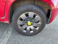 Fiat Panda 1.2 69cv E6 Young Rouge - thumbnail 7
