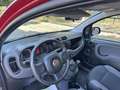 Fiat Panda 1.2 69cv E6 Young Rouge - thumbnail 8