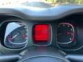 Fiat Panda 1.2 69cv E6 Young Rouge - thumbnail 13