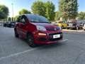 Fiat Panda 1.2 69cv E6 Young Rouge - thumbnail 5