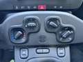 Fiat Panda 1.2 69cv E6 Young Rouge - thumbnail 15