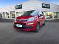 Fiat Panda 1.2 69cv E6 Young Rouge - thumbnail 1