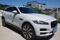 Jaguar F-Pace 20d Portfolio AWD Weiß - thumbnail 9