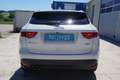 Jaguar F-Pace 20d Portfolio AWD Weiß - thumbnail 5