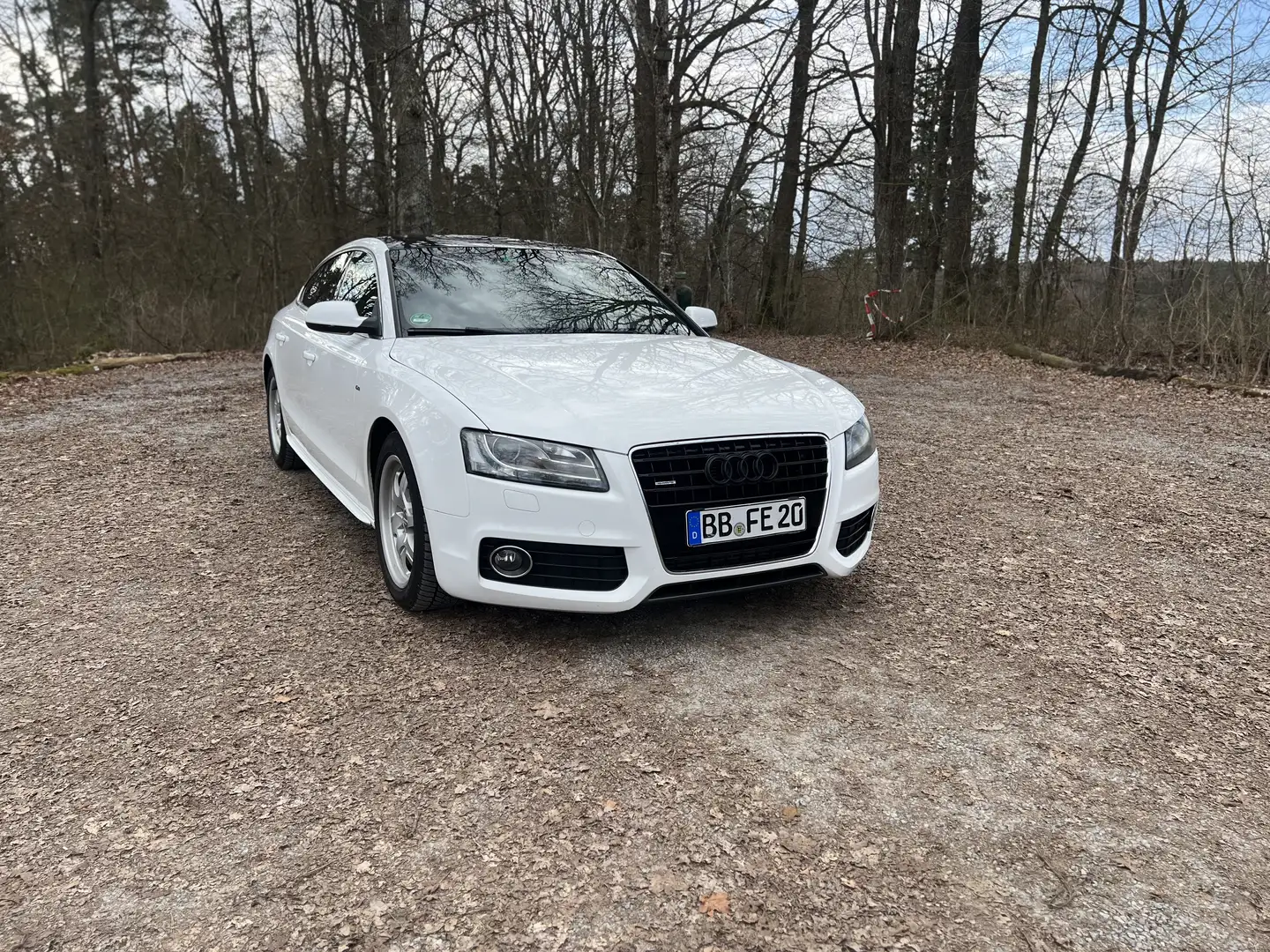 Audi A5 3.0 TDI Sportback quattro DPF S tronic - 1