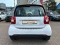 smart forTwo fortwo 66kW passion DCT*PANO*SHZ*COOL&AUDIO* Білий - thumbnail 19