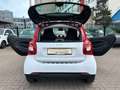 smart forTwo fortwo 66kW passion DCT*PANO*SHZ*COOL&AUDIO* White - thumbnail 23