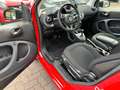 smart forTwo fortwo 66kW passion DCT*PANO*SHZ*COOL&AUDIO* Beyaz - thumbnail 4