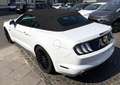 Ford Mustang 5.0 GT V8 Cabrio 1.Hand Белый - thumbnail 8