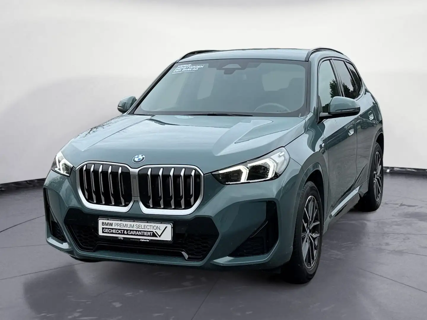 BMW X1 sDrive20d M Sport Navi Klima Leder PDC Kamera Vert - 2